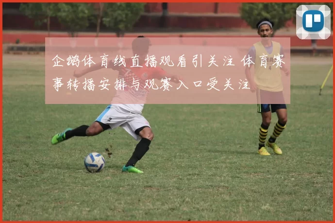 企鹅体育线直播观看引关注 体育赛事转播安排与观赛入口受关注