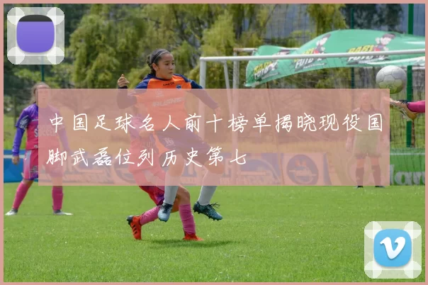 中国足球名人前十榜单揭晓现役国脚武磊位列历史第七