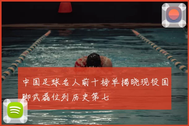 中国足球名人前十榜单揭晓现役国脚武磊位列历史第七