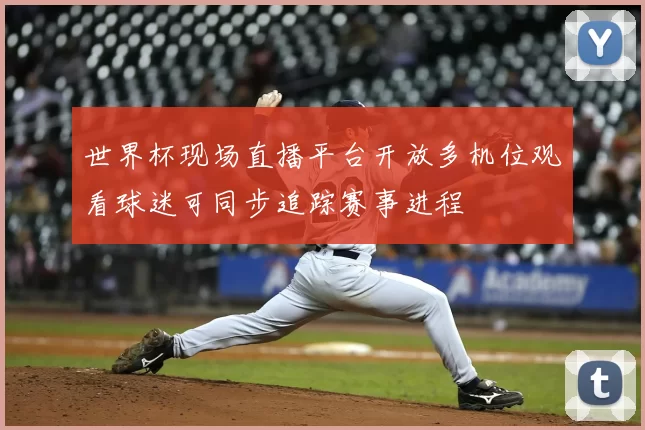 世界杯现场直播平台开放多机位观看球迷可同步追踪赛事进程