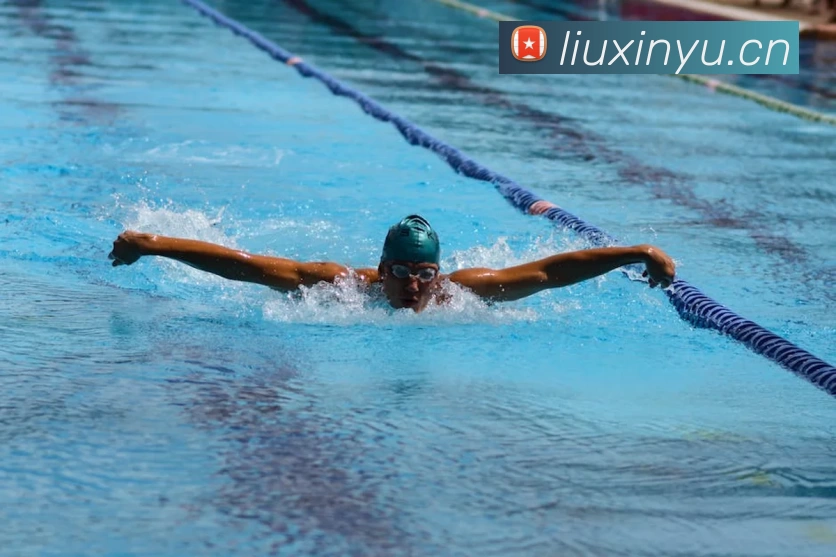 333网址大全平台生态图